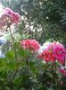 20160704_183150