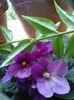 20160704_183307