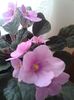 20160706_114858