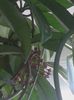 20160706_165020