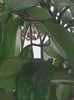20160706_165046