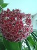 20160707_100009