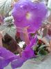 20160707_173830