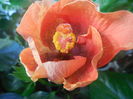 DSCN1026