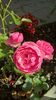 WP_20160710_10_01_47_Pro