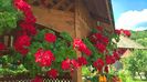 WP_20160710_11_08_39_Pro