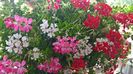 WP_20160709_13_18_34_Pro