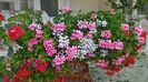 WP_20160709_11_34_52_Pro