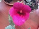 20160710_144426