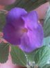 20160710_144456