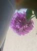 20160708_210025
