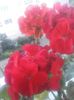 20160708_210502