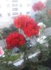 20160708_210421