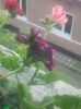 20160708_204748