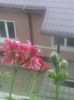 20160708_204810