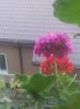 20160708_205241