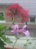 20160708_205143