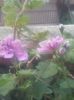 20160708_204733