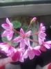 20160708_204022
