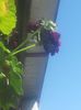 20160706_090125