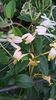 WP_20160710_15_48_59_Pro (2)