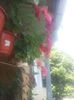 20160705_114038