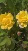 WP_20160710_14_11_44_Pro (2)