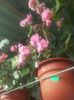 20160709_074239