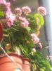 20160709_074226