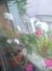20160708_205311