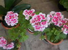 DSCN0623[1]