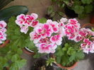 DSCN0622[1]