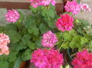 DSCN0624[1]
