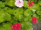 DSCN0627[1]