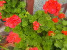 DSCN0626[1]