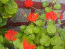 DSCN0629[1]