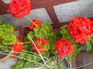 DSCN0646[1]