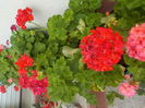 DSCN0649[1]