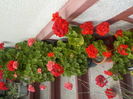 DSCN0665[1]