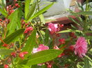 DSCN0635[1]