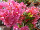 DSCN0643[1]