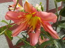 DSCN0660[1]