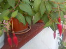 DSCN0620[1]