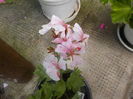 DSCN0632[1]