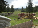 Peisaj pastoral
