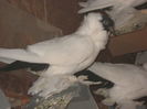 IMG_4707[1]