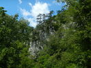 DSCN1993