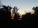 DSCN0687[1]