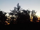 DSCN0689[1]