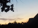 DSCN0695[1]